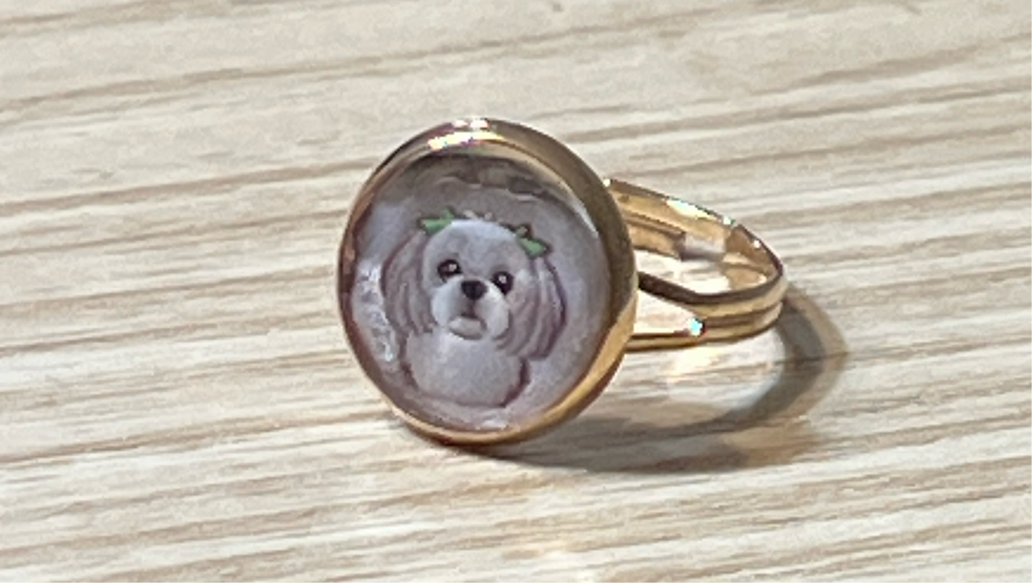 Poodle ring